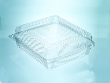 Plastic Container