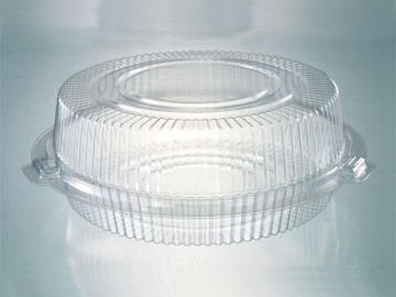 Plastic Container