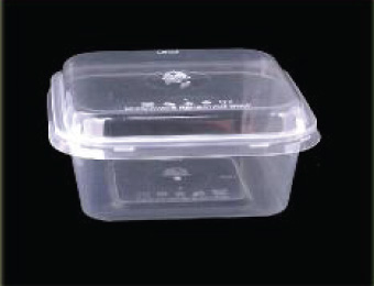 Plastic Container